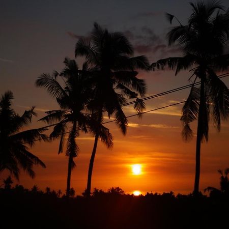 Lafyu Bali Hotell Singaraja Eksteriør bilde