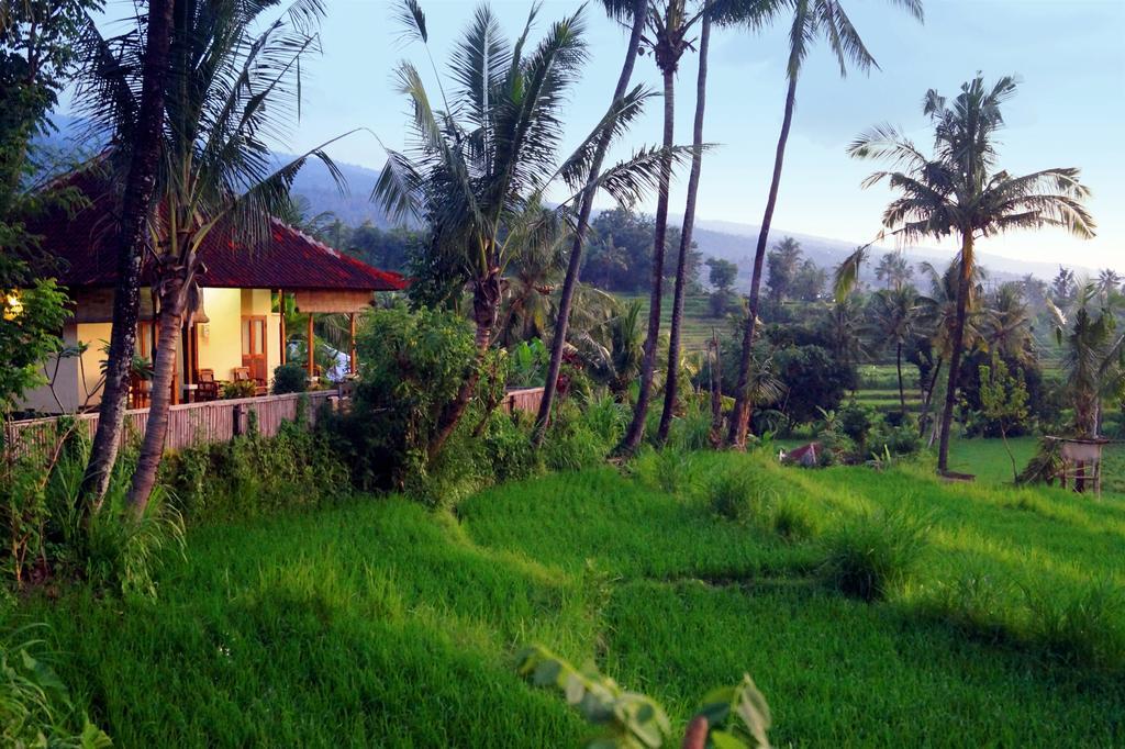 Lafyu Bali Hotell Singaraja Eksteriør bilde