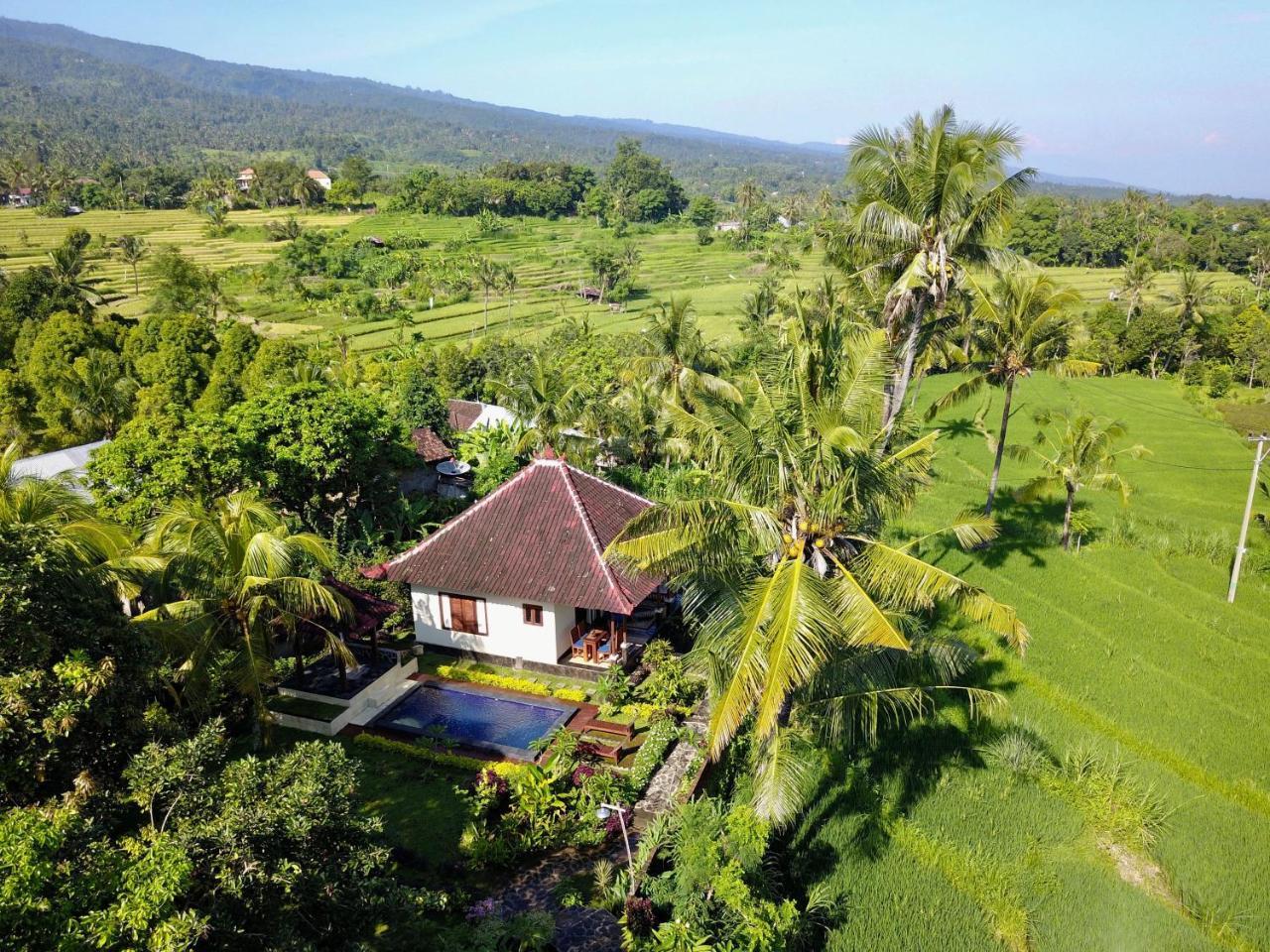 Lafyu Bali Hotell Singaraja Eksteriør bilde